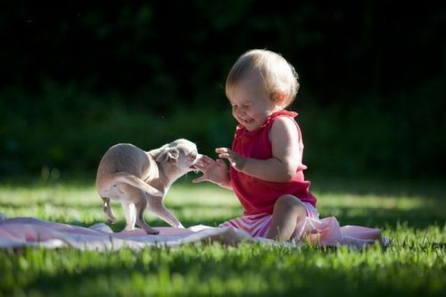 Супер няшки