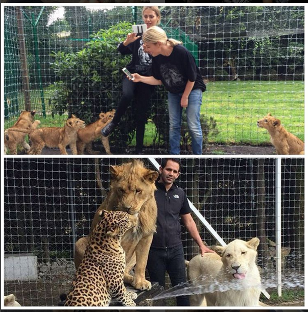 Виктория Боня