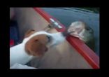 Лещами по щщам )