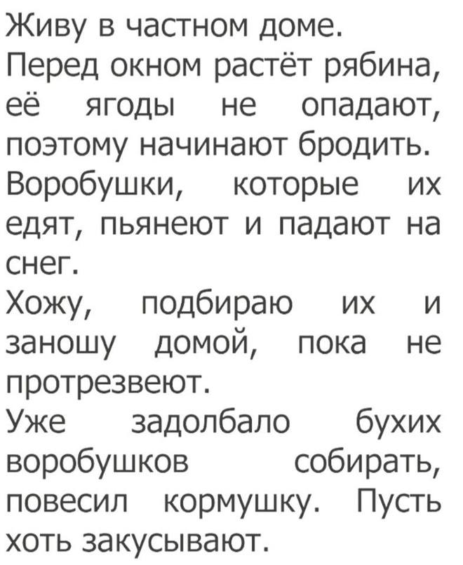 Воробушки и алкоголь