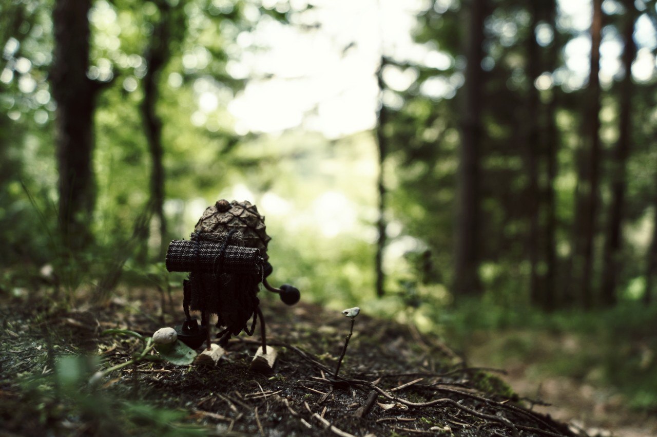 #ПутешествиеСосновойШишки часть 6