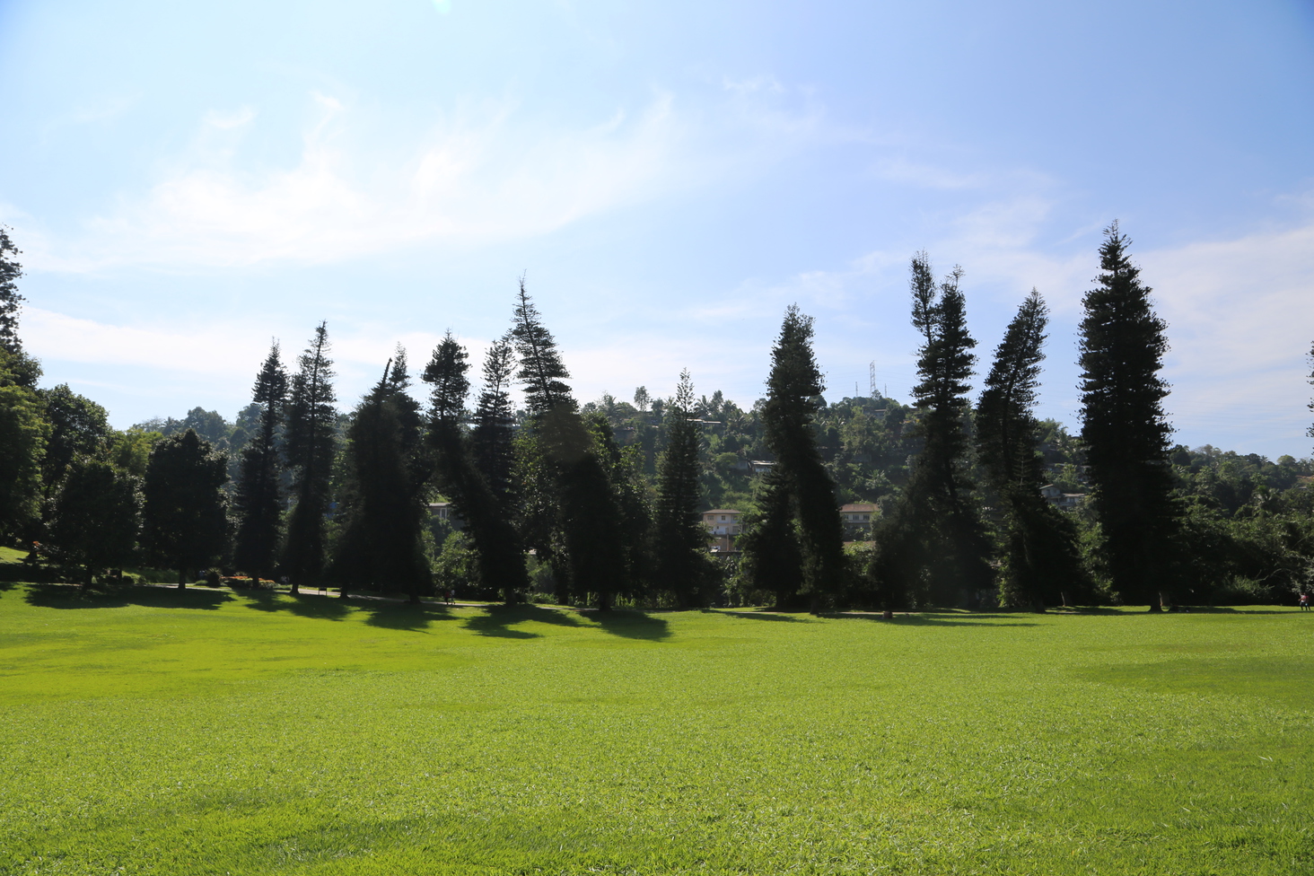 Дмитрий Каднай о Шри-Ланке: все, что вы не прочитаете в путеводителе об острове