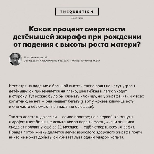 Вопросы, которые не дают спокойно спать