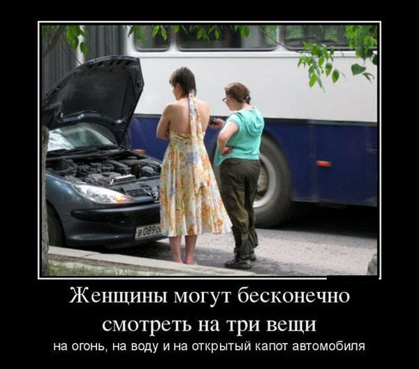 ТОП лучших демотиваторов