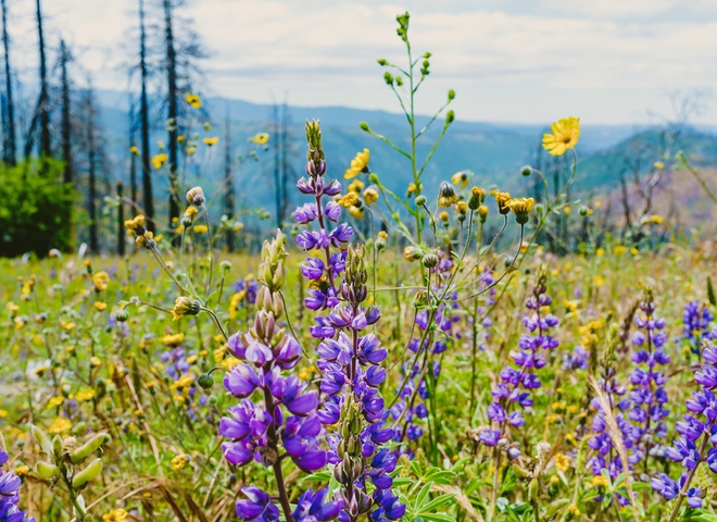 Гороскоп на травень 2026 року для всіх знаків зодіаку