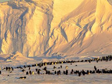 10 найцікавіших фактів про Антарктиду