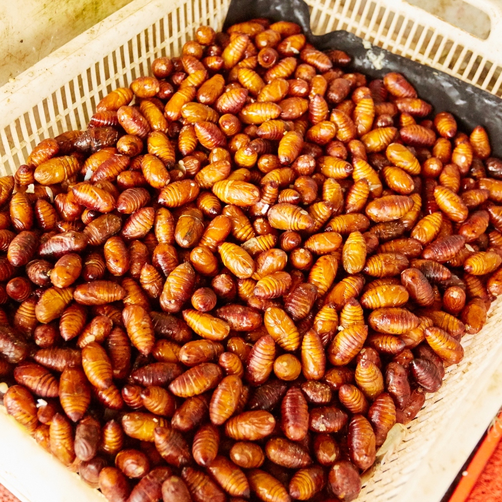 Інший Всесвіт очима популярного фотографа Андрія Саримсакова. Шанхай