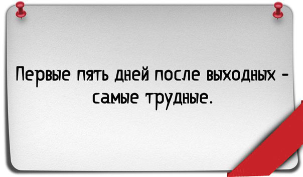 ТОП лучших картинок про работу