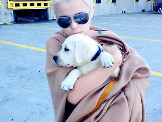 Міка Ньютон