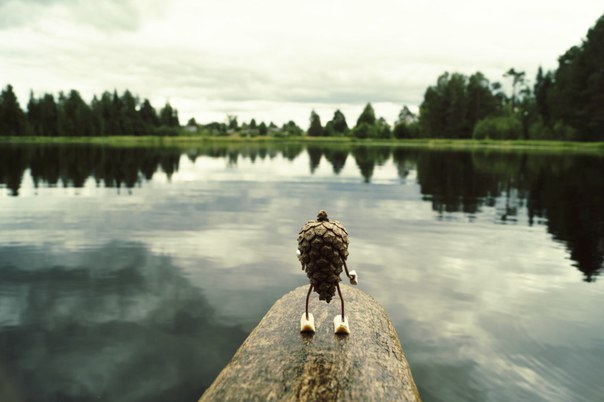 #ПутешествиеСосновойШишки часть 1