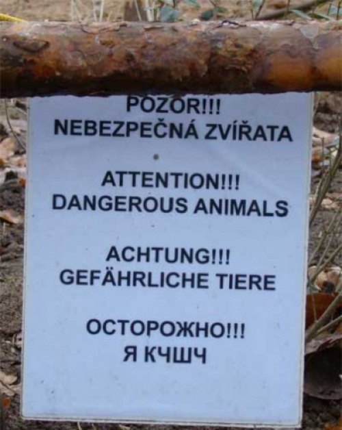 Трудности перевода