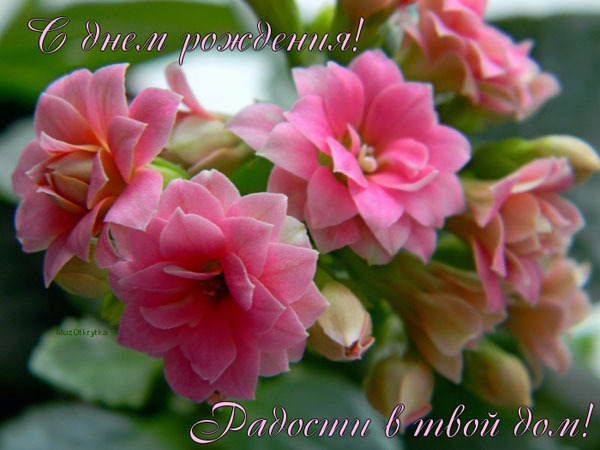 С Днём Рождения!