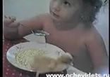 ципленок в тарелке