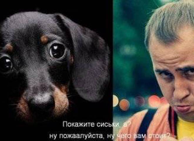 покажи сиськи $'' Скачать прикольные и красивые картинки: Ну покажите сиськи! на  fun.tochka.net
