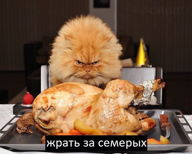 Когда ты мастер: