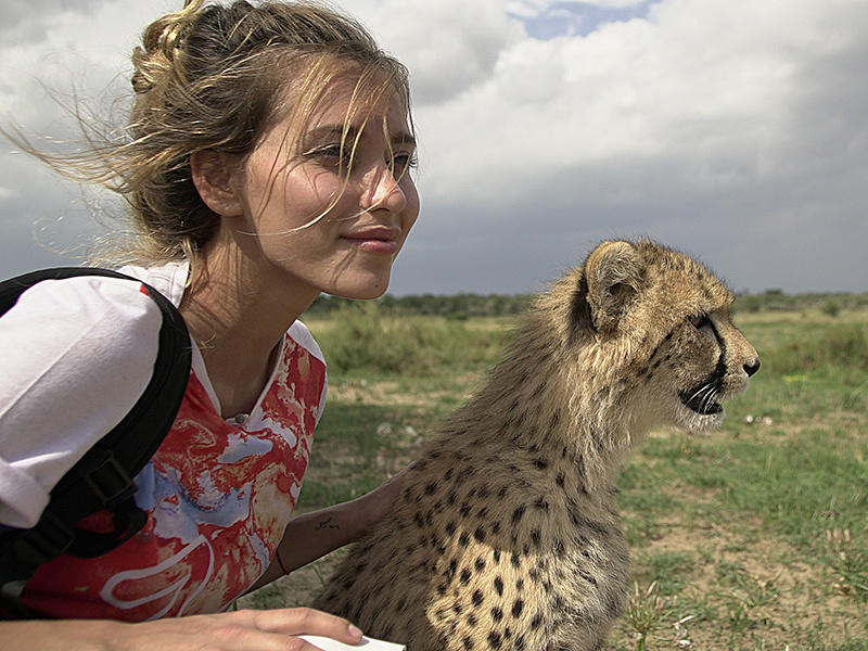 Орел и решка