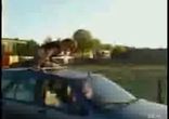 dude_faceplants_into_car_roof