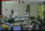 Funny videos collection