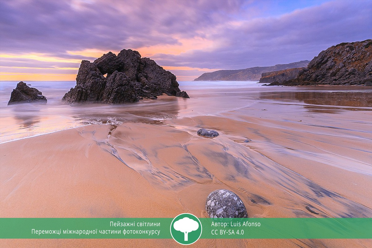 найкращі фото природи 2021