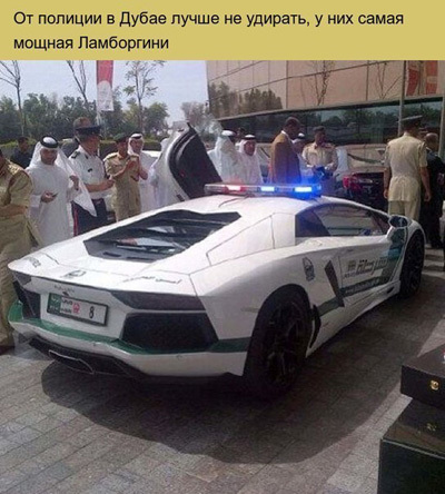 Такое возможно только в Дубаи