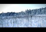 Шведская зима