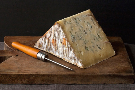 сир з пліснявою