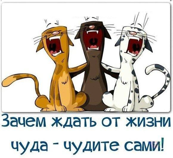 Смешные картинки с текстом