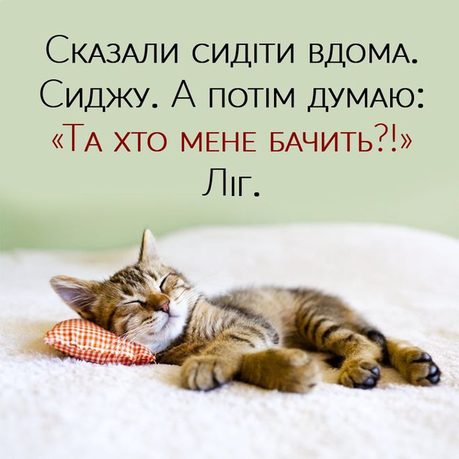 Коронавирус и сидение дома