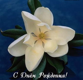 orig_3343d0771090d578e6f851ef1bcb8a5b.jp