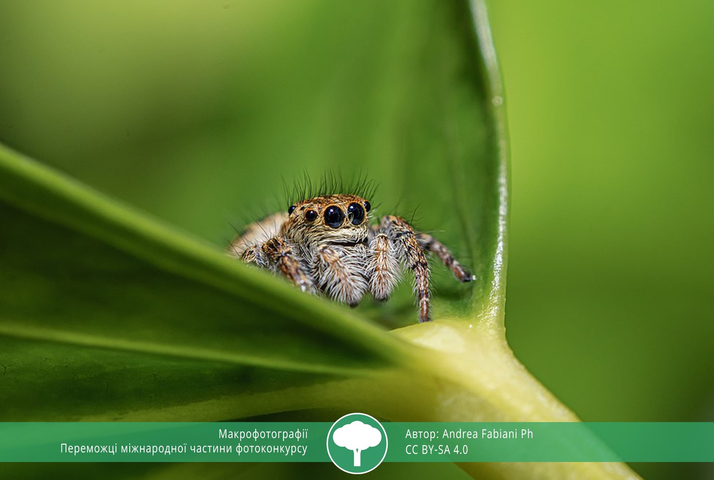 найкращі фото природи 2021