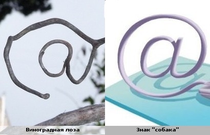 Смешные сходства