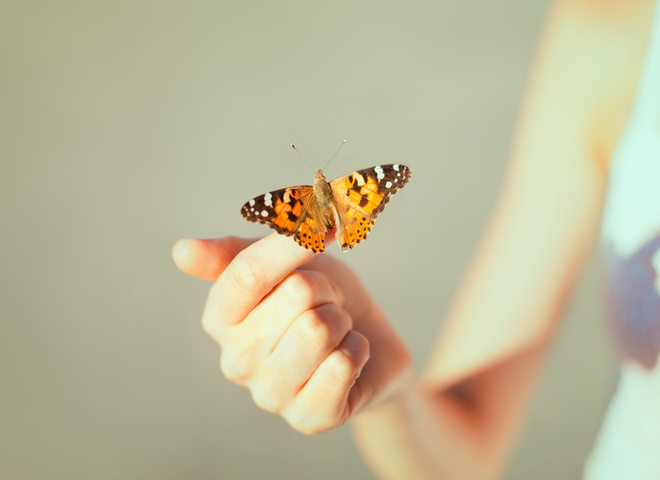 Какой праздник отмечают 22 мая