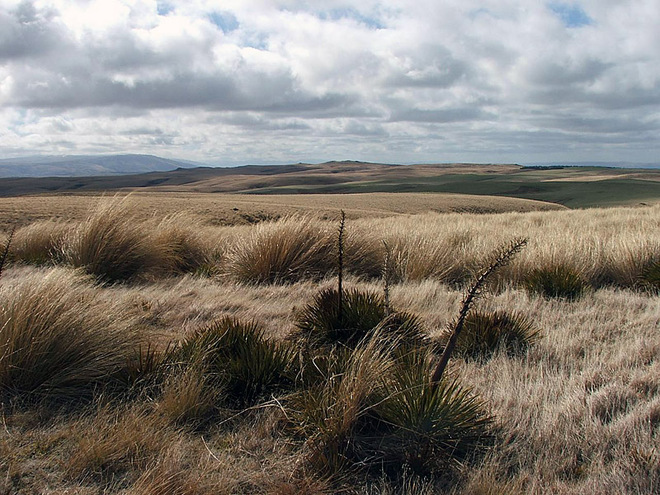 Rock and Pillar Range