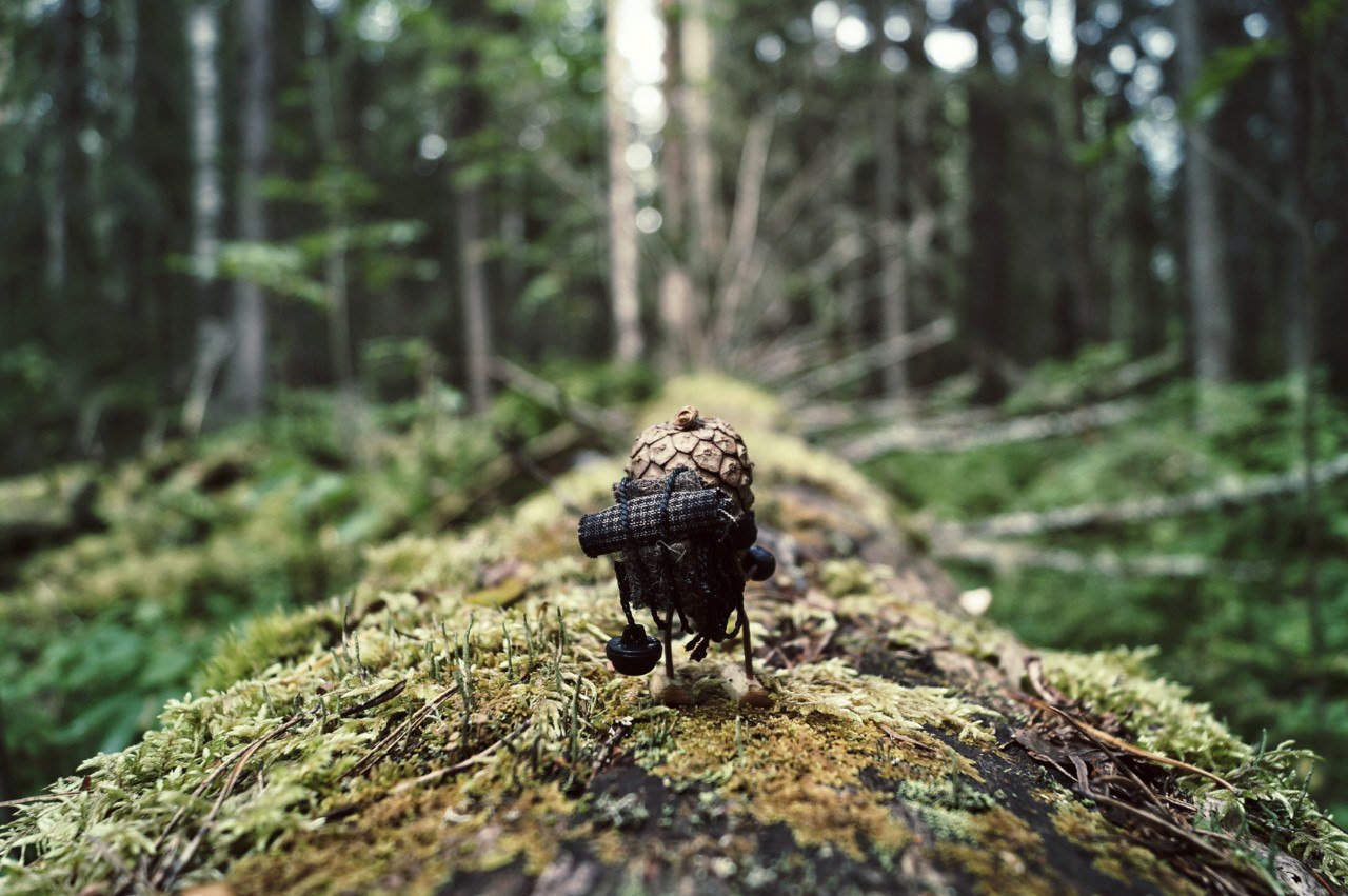 #ПутешествиеСосновойШишки часть 7