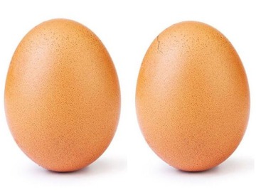 В сети набирает популярность фото треснутого куриного яйца