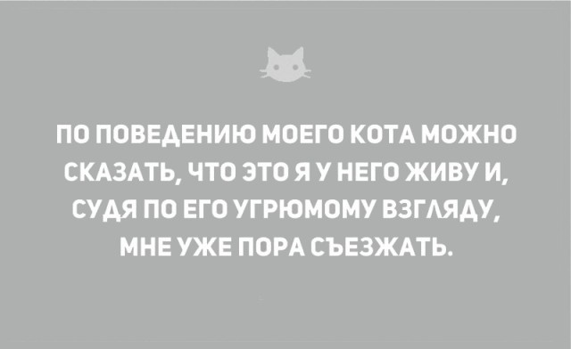 Без кота и жизнь не та