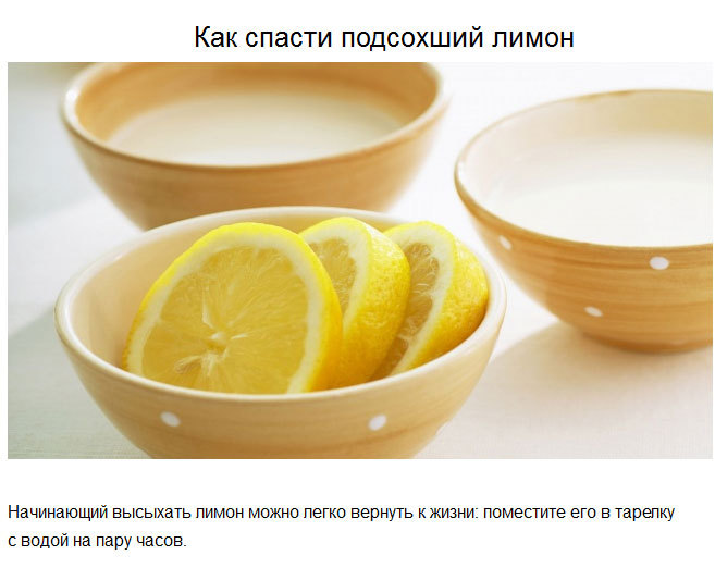 10 полезных советов