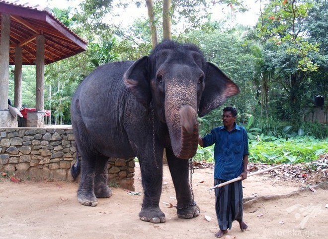 Шри-Ланка открыла туристический сезон