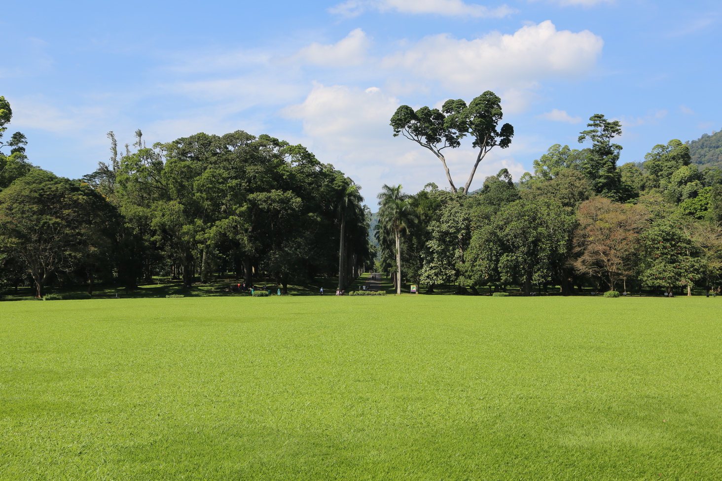 Дмитрий Каднай о Шри-Ланке: все, что вы не прочитаете в путеводителе об острове
