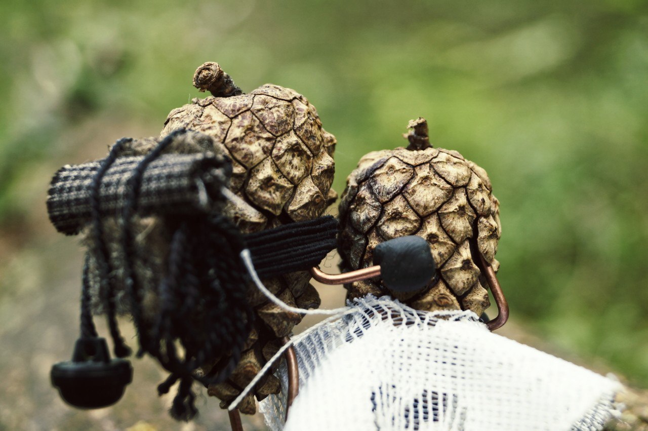 #ПутешествиеСосновойШишки часть 6