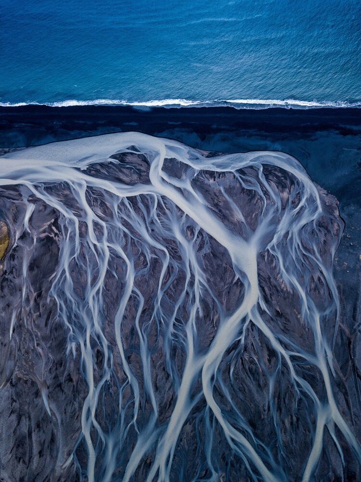 World Nature Photography Awards 2020