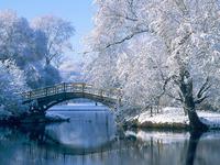 Мост в зимнем парке