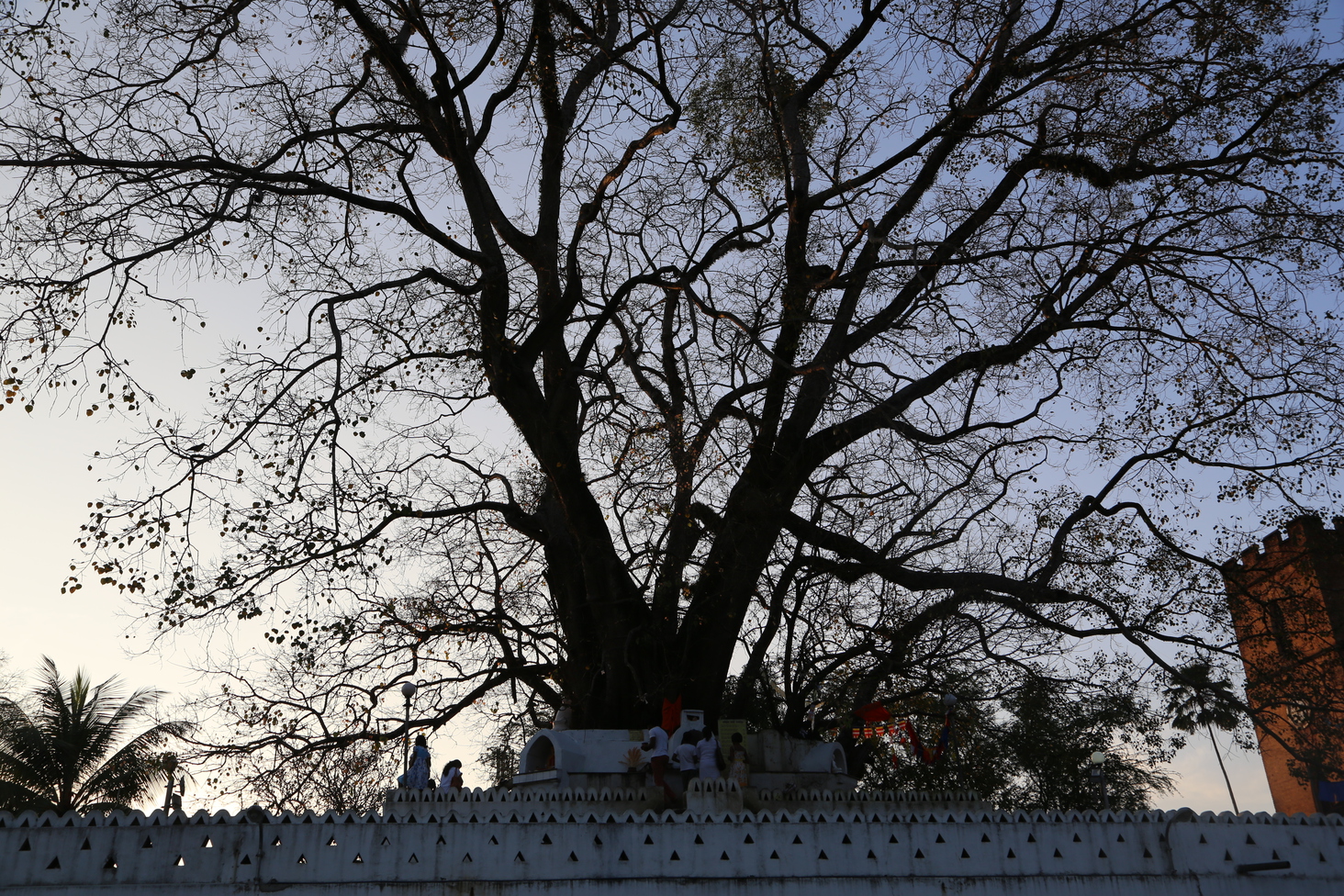 Дмитрий Каднай о Шри-Ланке: все, что вы не прочитаете в путеводителе об острове
