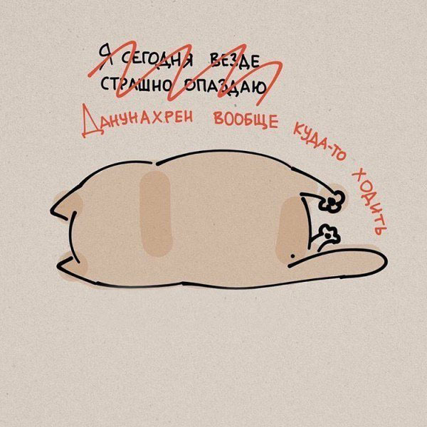 10 полезных советов от котика. Как надо относиться к жизни