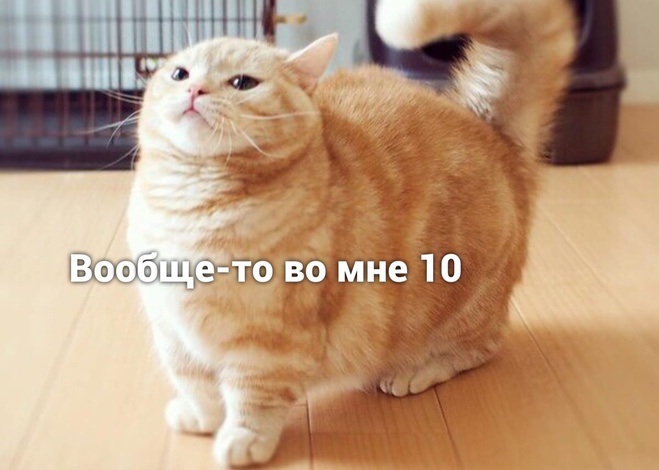 Килограммы и любовь