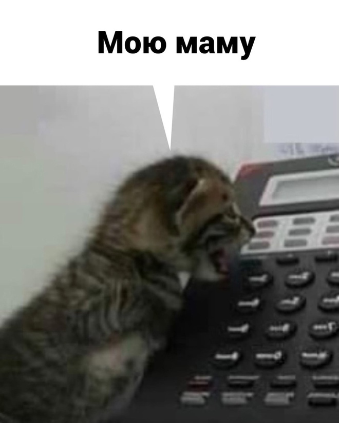 Я, мама и работа