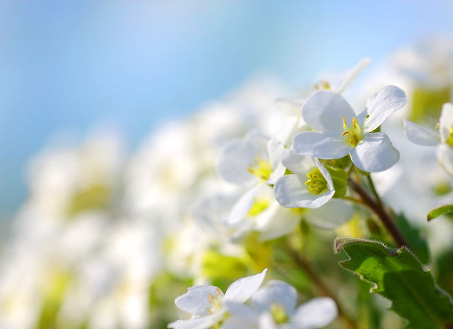 Гороскоп на квітень 2026 року для всіх знаків зодіаку