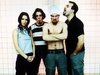 Guano Apes