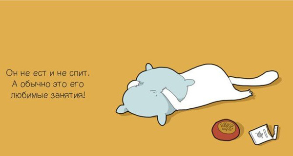 Когда моему коту грустно