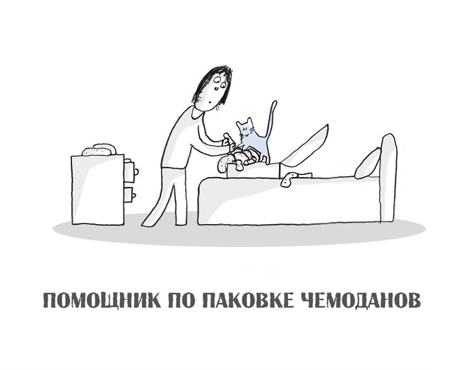 Коты могут, коты могут... Всё, что угодно